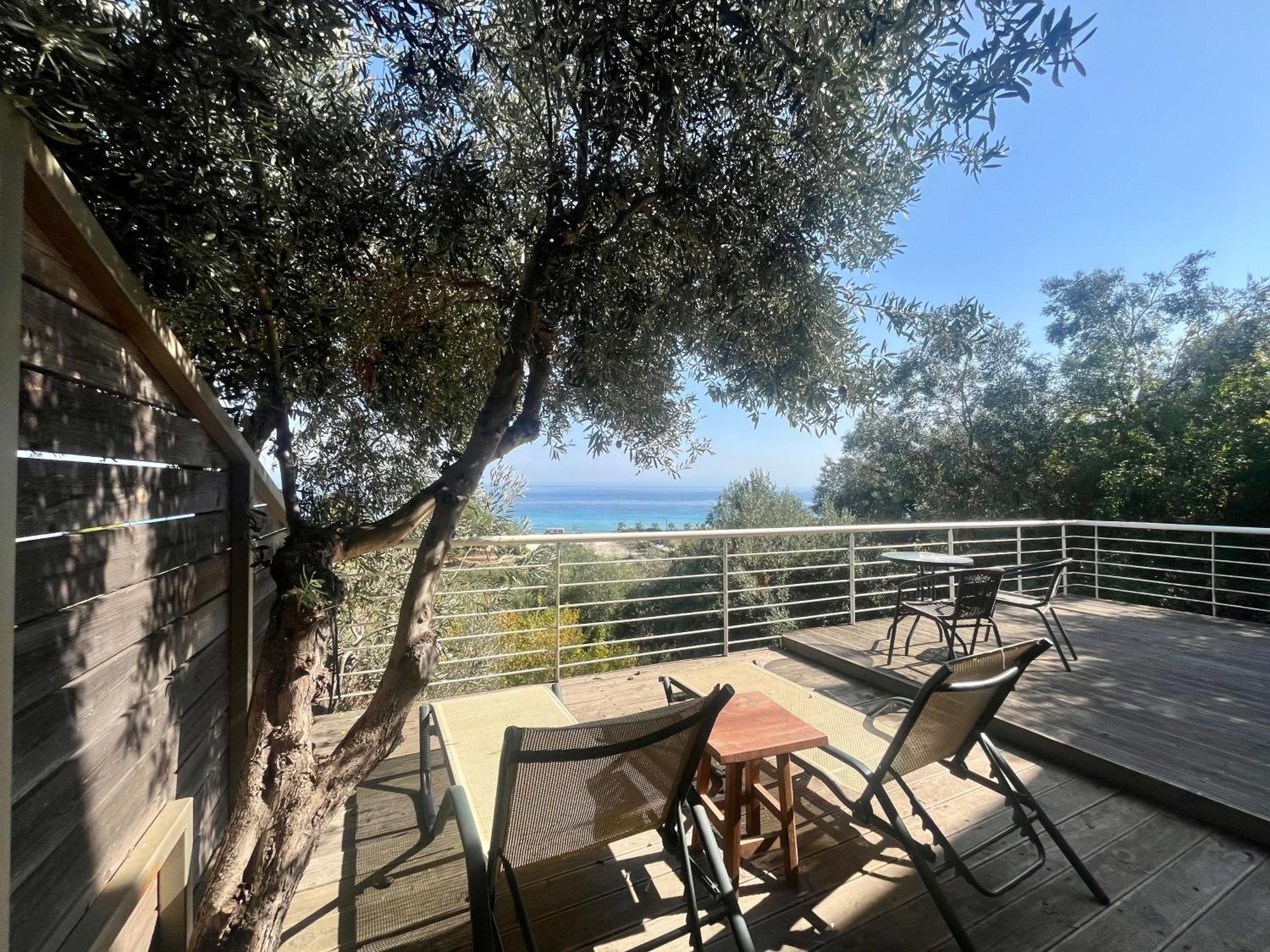 The Beach House - Apartments & Studios (Adults Only) Afytos Exterior foto